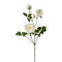 Konstgjord blomkvist, pion KROVEL, krämfärgad, 75cm