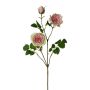 Konstgjord blomstergren med pion KROVEL, grön-rosa, 75cm