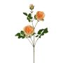 Konstgjord blomgren med pion KROVEL, aprikos, 75cm