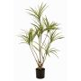 Konstträd Dracaena marginata SHALLU, konststammar, grönt, 120cm