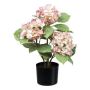 Konstgjord hortensia TRAVOLI, rosa-krämfärgad, 55cm