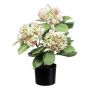 Konstgjord hortensia TRAVOLI, grön-rosa, 55cm