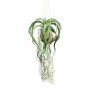 Konstgjord tillandsia-hängkruka GRISPU i kokosnöt, grön, 65cm
