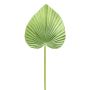 Palmblad i plast, Washingtonia KUNYK, grönt, 70cm