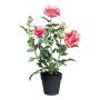 Konstgjord ros FURHYN i dekorativ kruka, cerise, 60cm