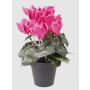 Konstgjord alpenviol HEIDI i dekorativ kruka, cerise, 25cm, Ø5-8cm