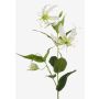 Konstblomma Gloriosa FUJITA, krämgrön, 80cm, Ø15cm