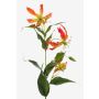 Konstblomma Gloriosa FUJITA, orange-gul, 80cm, Ø15cm