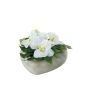 Konstblomsterarrangemang Phalaenopsis-orkidé, Rose DEON, dekorativ kruka, vit, 11cm, Ø18cm