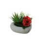Konstblomsarrangemang med ros, agave BEVIS, dekorativ kruka, röd-vit, 14cm, Ø18cm