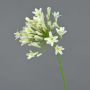 Dekorativ konstblomma Agapanthus PHILINA, krämfärgad, 75cm, Ø14cm