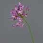 Dekorativ konstblomma Agapanthus PHILINA, violett, 75cm, Ø14cm