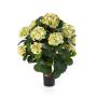 Konstblomma hortensia HARUKA på stam, grön, 60cm, Ø9-16cm
