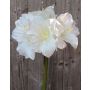 Konstgjord amaryllis DAGGI, vit, 70cm, Ø11-18cm