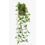 Konstgjord hängväxt Philodendron scandens SAELFES på stödpinne, 85cm