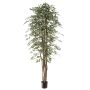 Konstväxt Ficus Benjamini ALEJA, äkta stam, grön-vit, 210cm