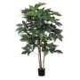 Dekorationsväxt Schefflera BOGDANA, naturstam, grön, 160cm
