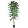 Konstväxt fikonakacie AKAHI, naturstam, grön, 240cm