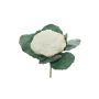 Konstgjord grönsak blomkål GUSTL, vit-grön, 20cm, Ø20cm