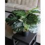 Konstgjord Philodendron Monstera Deliciosa MUNIN, 55cm