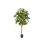 Konstgjord bougainvillea BANU, äkta stammar, blommor, gul, 180cm