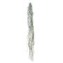 Dekorativ suckulent Tillandsia usneoides MIRIEL, grön, 130cm
