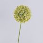 Konstgjord allium HELLA, glitter, krämgrön, 75cm, Ø11cm