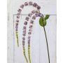Konstgjord amarantkvist SENIO med blommor, gammaldagsrosa, antikrosat, 70cm