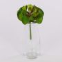 Konstgjord Aeonium GERTRUDE på stödpinne, grön-röd, 13cm, Ø11cm