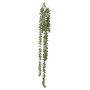 Dekorativ suckulent Senecio NANELA, sticka, grön, 70cm