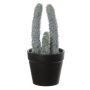 Dekorativ pelarkaktus TIRRA, kruka, vit-grön, 16cm