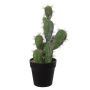 Dekorativ San Pedro TORINU, kruka, grön, 40cm