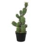 Dekorativ San Pedro TORINU, kruka, grön, 50cm