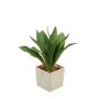 Dekorativ växt drakträd-agave HAKUNA, kruka, grön, 22cm