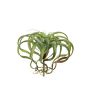 Konstgjord tillandsia xerographica AZARD, stickpinne, grön-röd, 30cm, Ø35cm