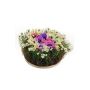 Konstgjord blomsterarrangemang med anemoner och prästkragar IKAIA, brokig, 12cm, Ø20cm