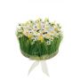 Konstgjord blomsterarrangemang med narcisser och gräs HAULANI, vit-gul, 12cm, Ø20cm