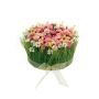 Konstgjord blomsterarrangemang med prästkragar och gräs HAULANI, rosa-vit, 12cm, Ø20cm