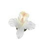 Konstgjord blomma Dendrobium Sonia-orkidé CERIN, flytande, krämvit, 14x14cm
