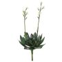 Konstgjord suckulent Aeonium LILKA med blommor, sticka, grön-vit, 35cm