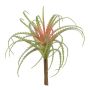 Konstgjord suckulent Tillandsia Stricta LUONG, stickpinne, grön-röd, 22cm