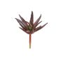 Konstgjord Agave decipiens KIANU, stickpinne, vinröd-grön, 9cm