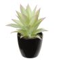 Konstgjord Agave americana KOSEY, kruka, ljusgrön-röd, 16cm