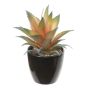 Konstgjord Agave americana KOSEY, kruka, laxrosa-grön, 16cm