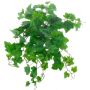 Konstgjord vinranka att hänga IGNATIUS, Eco Collection, grön, 50cm