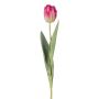 Dekorativ tulpan GUSNAV, cerise-grön-vit, 50cm, Ø5cm