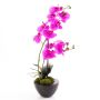 Plast-phalaenopsisorkidé MELINA i keramikkruka, cerise, 45cm