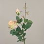 Konstgjord ros CARUSA, rosa-krämfärgad, 80cm, Ø8cm