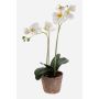 Konstgjord Phalaenopsis-orkidé MINA i terrakottakruka, vit, 45cm