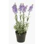 Konstlavendel LOUISE i dekorativ kruka, ljusvioletta, 30cm, Ø3cm